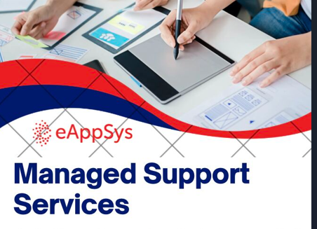 Oracle Fusion and EBS managed support services
